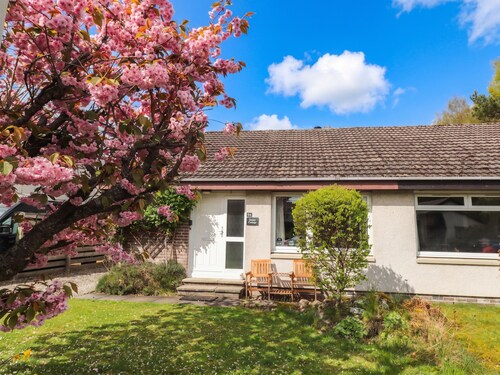 Steam Cottage