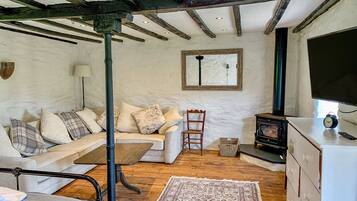 A cozy room with a wooden ceiling, a sofa with patterned cushions, a wooden chair, a small table, a rug, a television, and a fireplace.