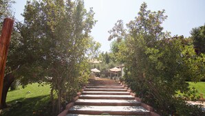 A stone staircase leading up to a covered area with umbrellas, surrounded by greenery and flowers. - Casa Luxury Suites (Kassandra)