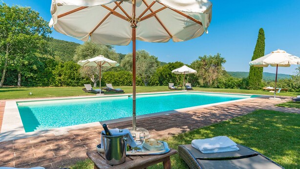 Une piscine entourée de verdure, avec des chaises longues et des parasols.