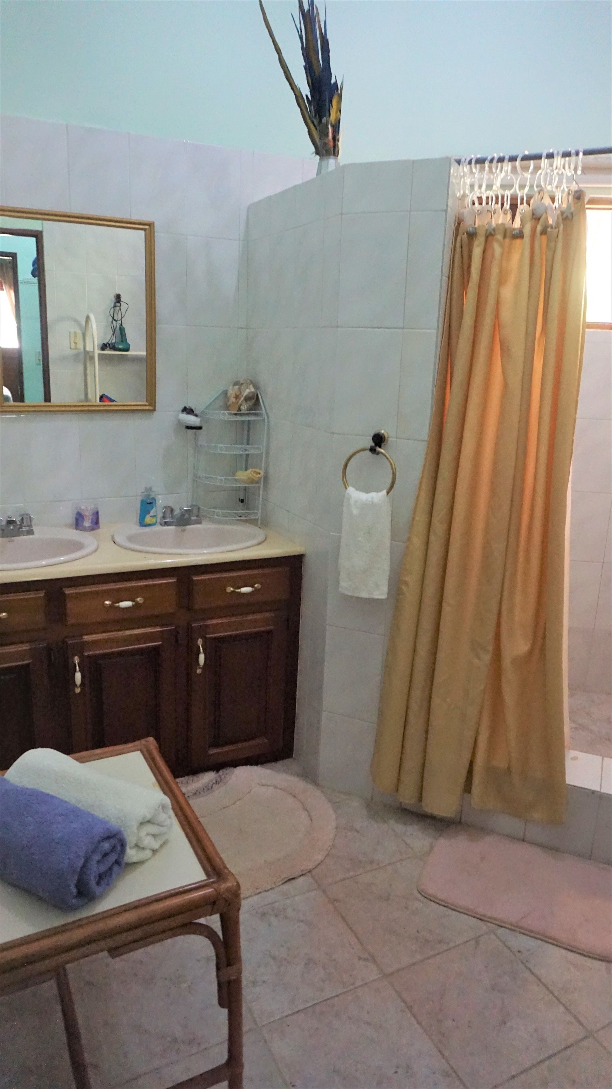 A bathroom with two sinks, a mirror, a towel rack, and a shower curtain.