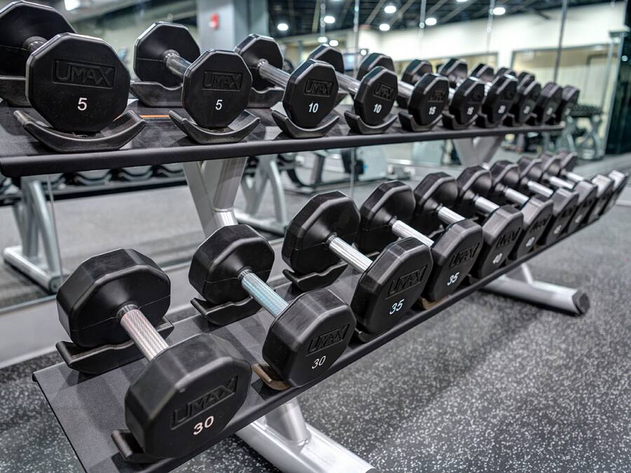 A rack of dumbbells with weights ranging from 5 to 35 pounds.