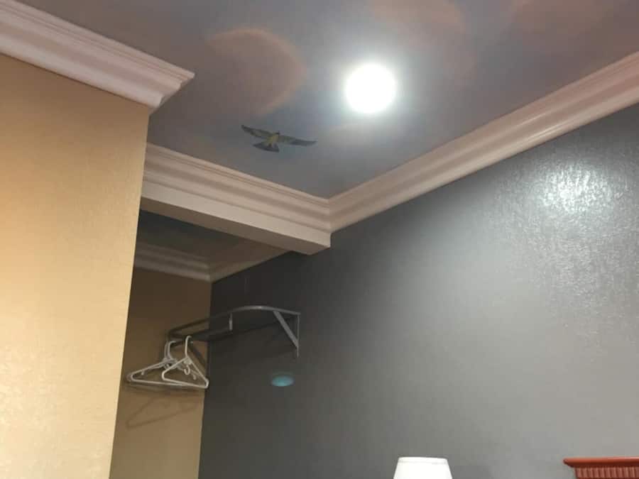 Escrivaninha, Wi-Fi de cortesia, roupa de cama