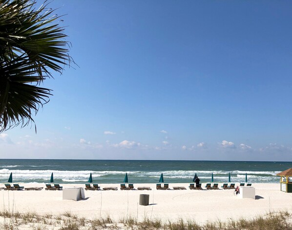 On the beach - Window on the Gulf Sunbird 509E-Beachfront, 1Br/1Ba, Private Balcony-Perfect Place in PCB! (Panama City Beach)