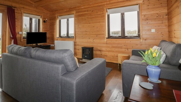 Ein Holzblockhaus-Interieur mit zwei grauen Sofas, einem Fernseher und einer Vase mit Blumen.