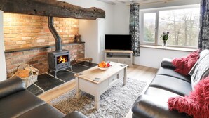 A cozy living room with a fireplace, a television, a sofa, and a window with a view. - Bryndan (Machynlleth)