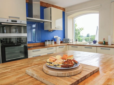 Microondas, parrilla de estufa, lavavajillas y periquera