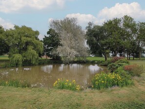 Property grounds - The Oaks (Ellesmere)