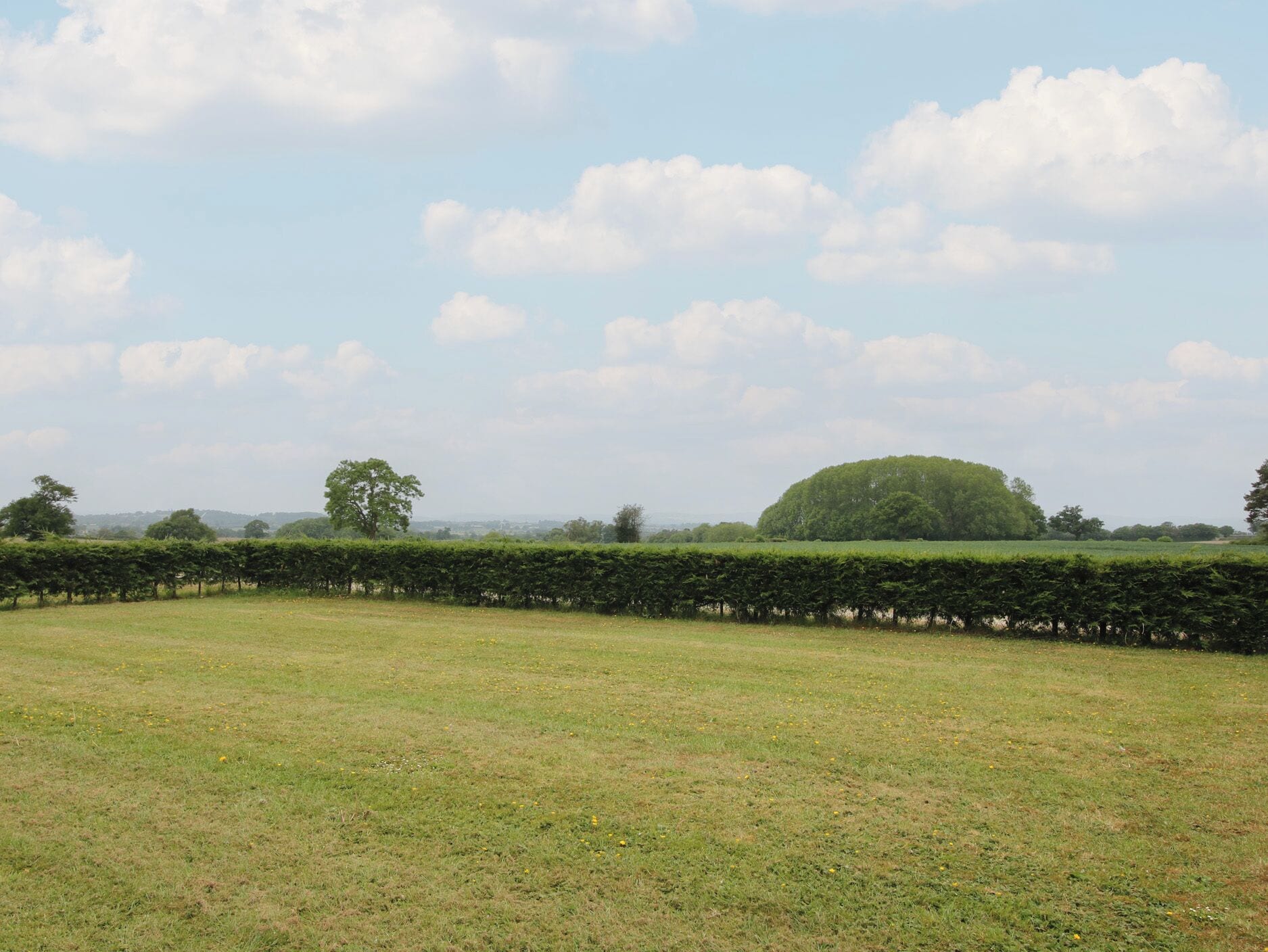 Un campo cubierto de hierba con un seto y un gran árbol a lo lejos.