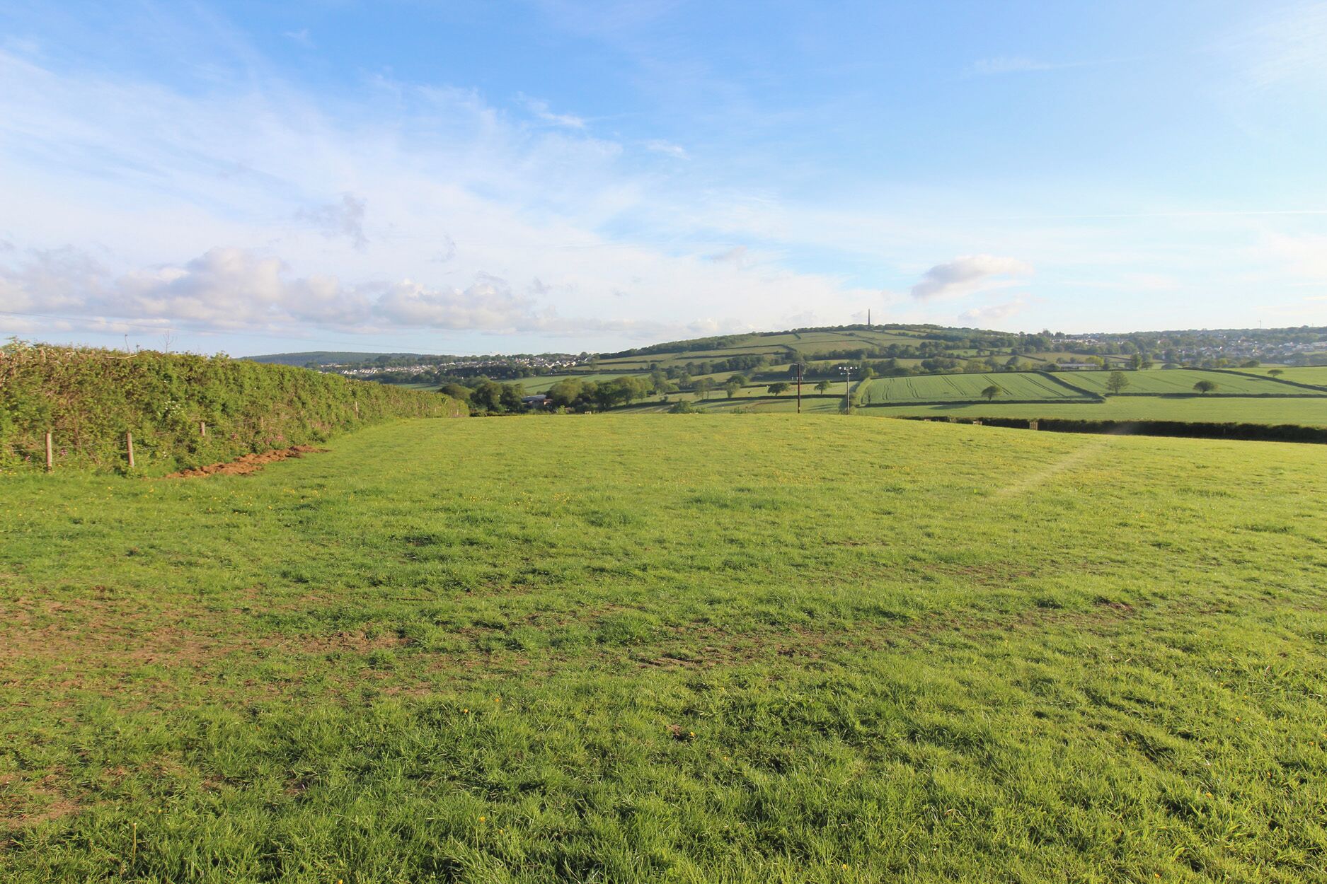 A rural landscape with rolling hills, a hedge, and a distant town.