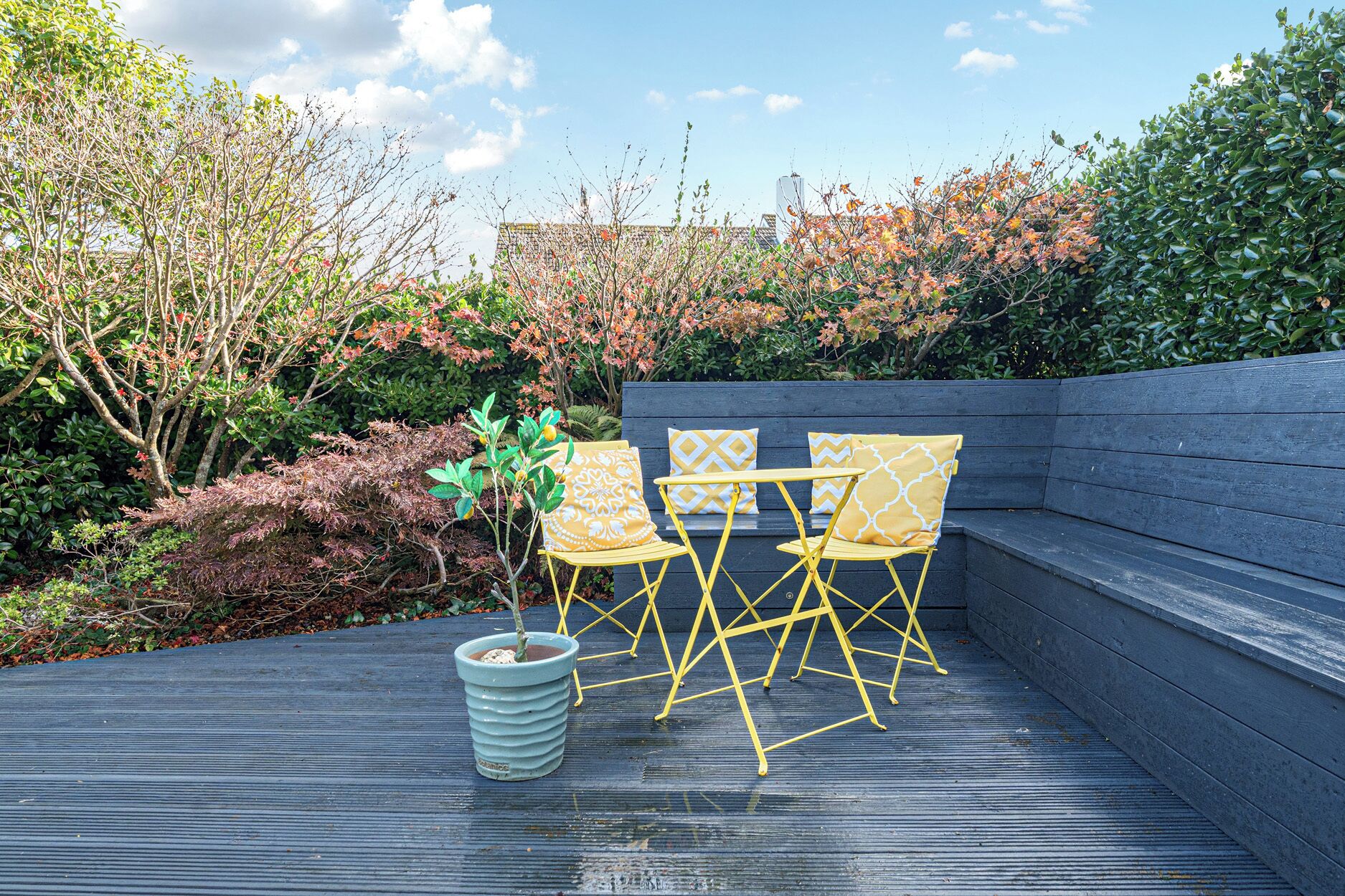 A rooftop terrace with a blue railing, a small potted plant, and three yellow chairs with patterned cushions.