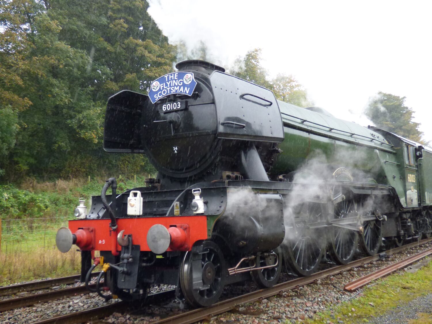 A steam locomotive with the number 60103, named "The Flying Scotsman," traveling on a railway track surrounded by greenery.