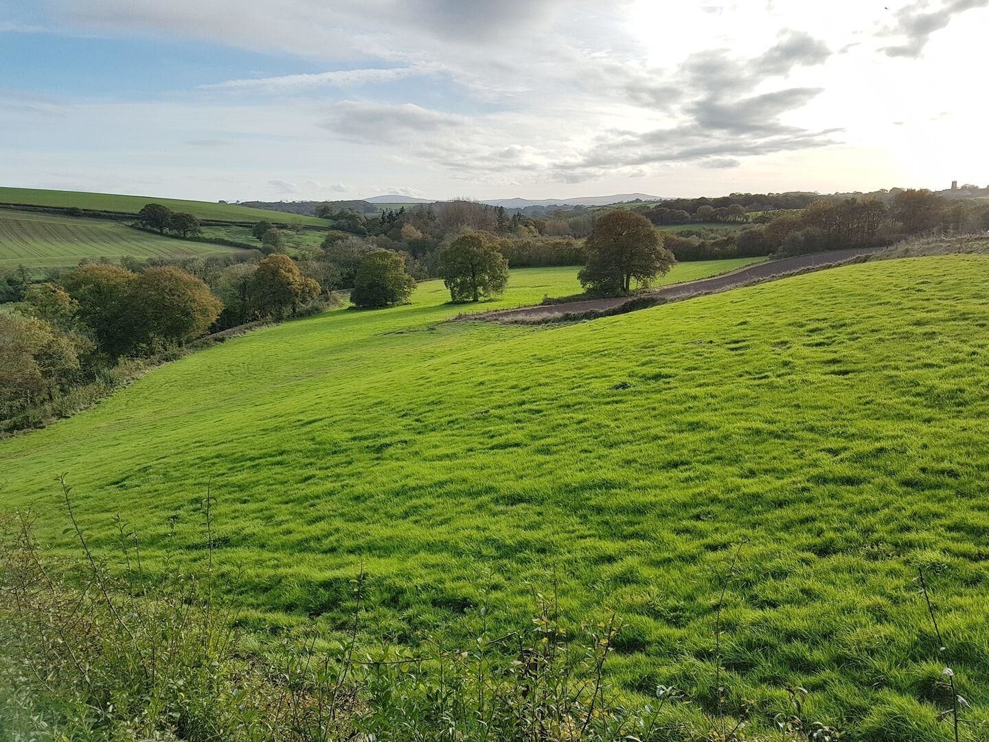 A rural landscape with rolling green fields, scattered trees, and a distant hill.
