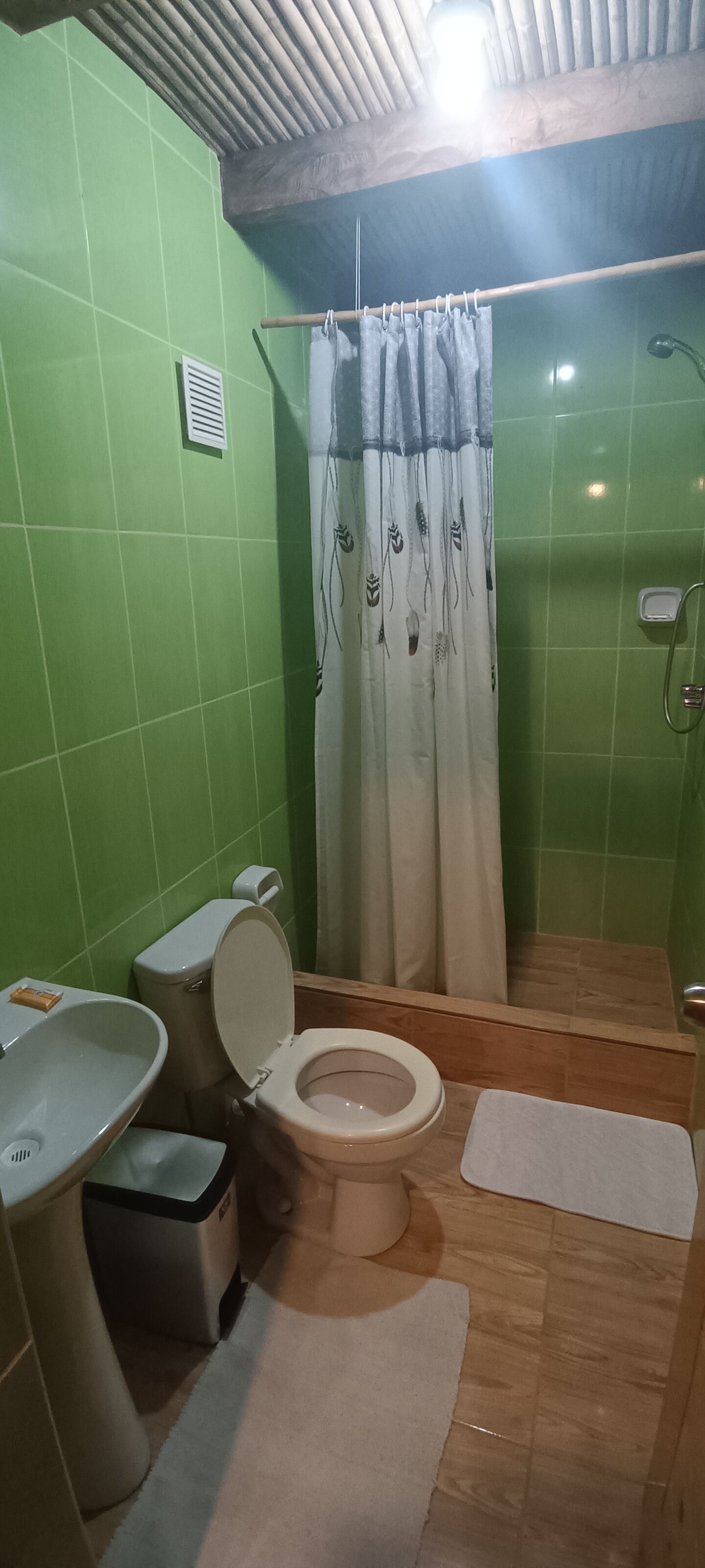 A bathroom with a toilet, sink, and shower area.