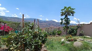 A garden with various plants and a view of distant mountains. - Muya (Tingo)