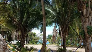 Unclassified image, 2 of 33, button - Vista Encantada 505 (Tepic)