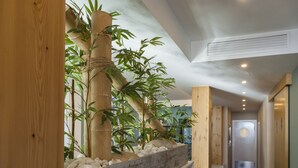Un couloir doté d’un plancher en bois, d’une plante en bambou dans un pot en bois, et d’une porte au fond.