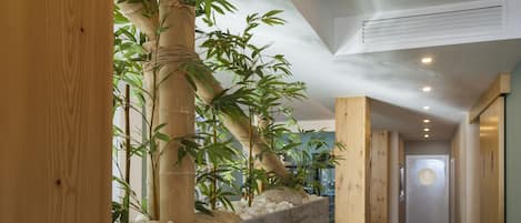 A hallway with a wooden floor, a bamboo plant in a wooden planter, and a door at the end.