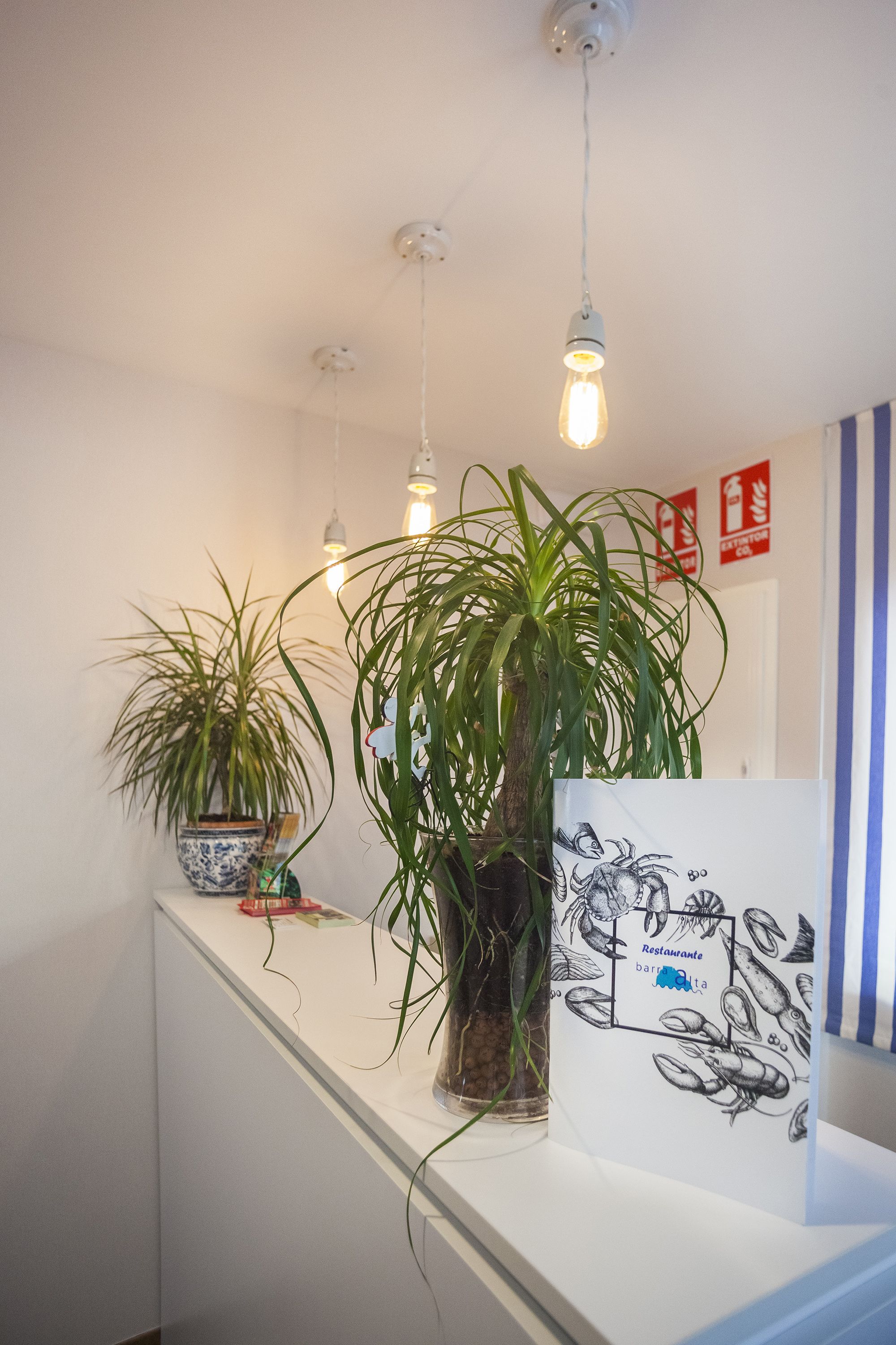 Foto - Hotel Boutique Barra Alta (Adults Only)