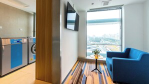 Habitación de hotel moderna con un ventanal grande, un sofá azul, una mesita con una planta y una lavadora en la esquina.