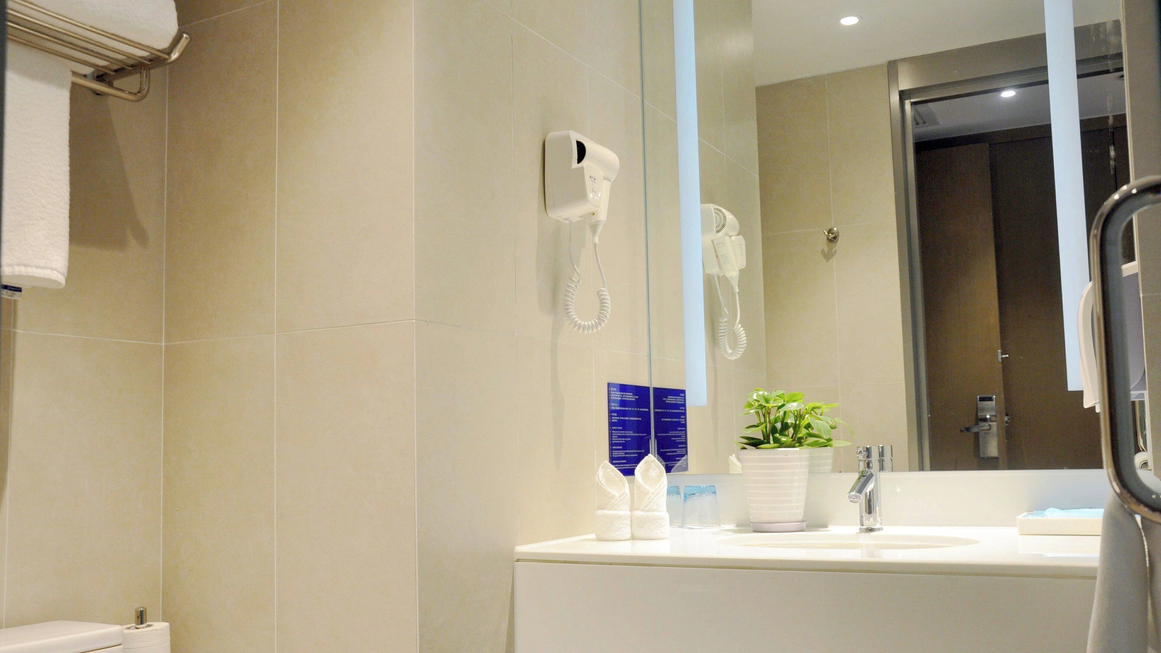 A bathroom with a white sink, a mirror, a hairdryer, and a potted plant.