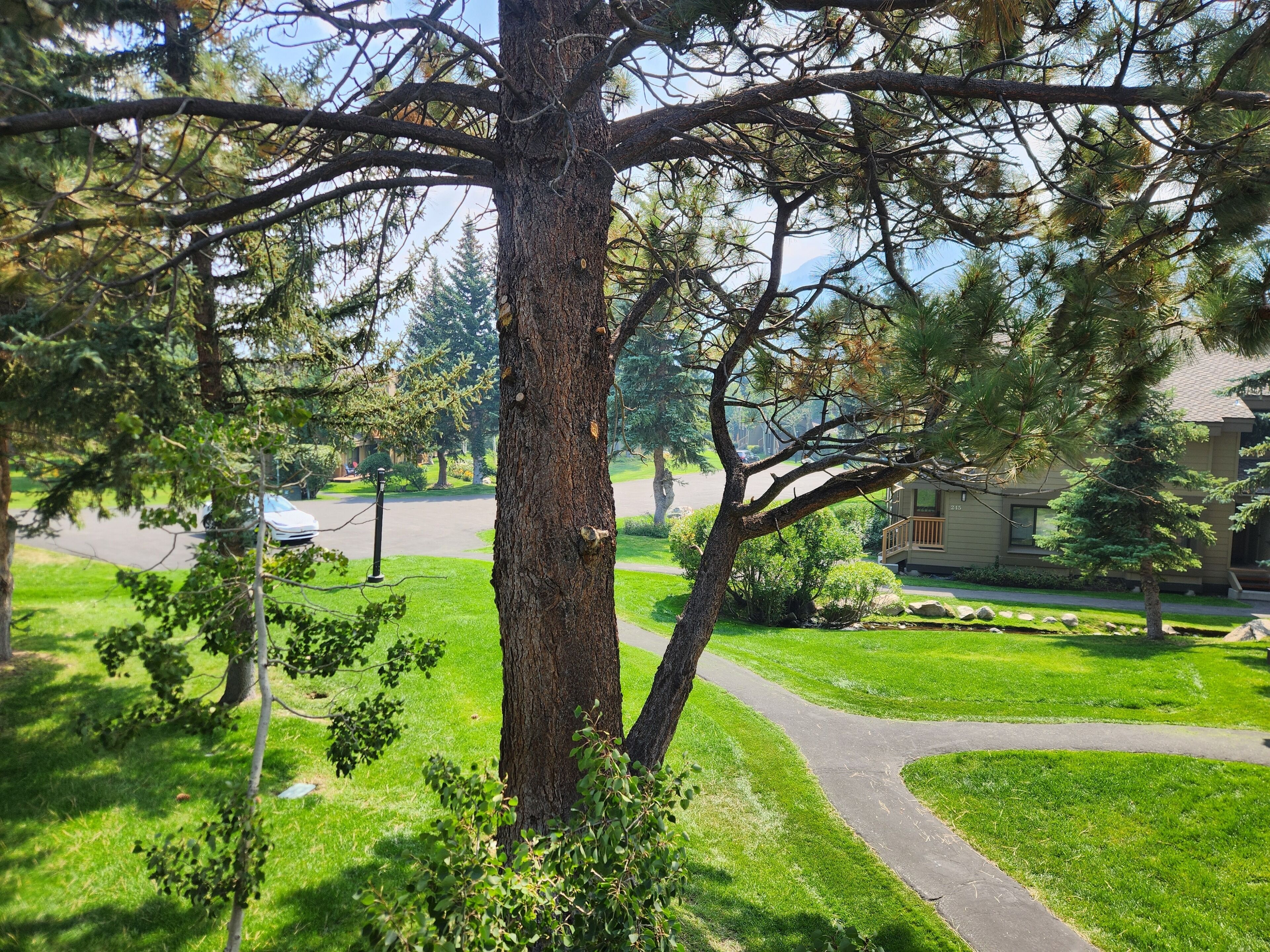 Property grounds