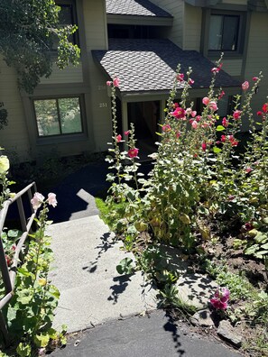 A residential building with a covered porch, a visible staircase, and a garden with flowering plants.