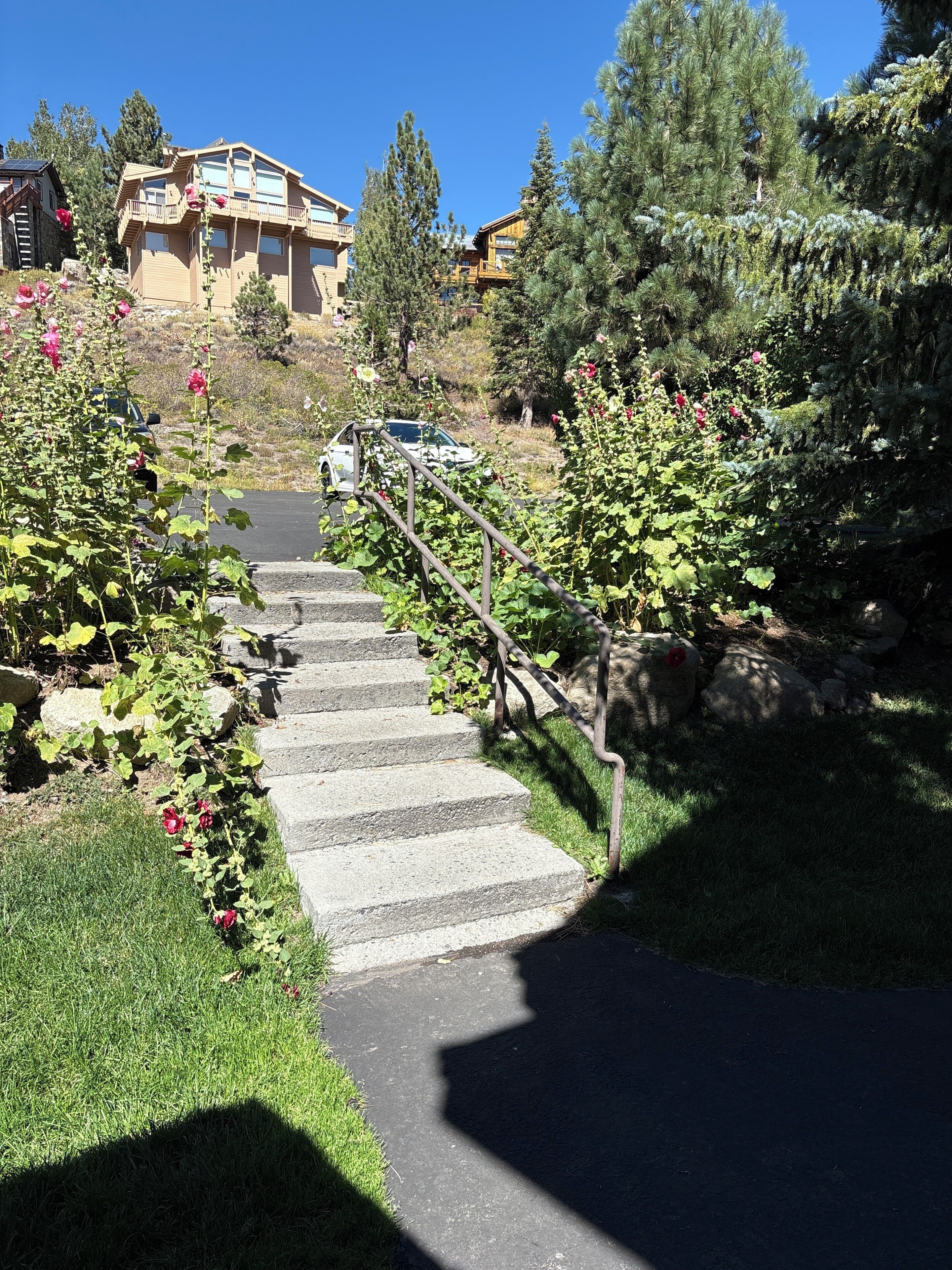 A stone staircase leading up to a building with a wooden railing, surrounded by greenery and flowers.