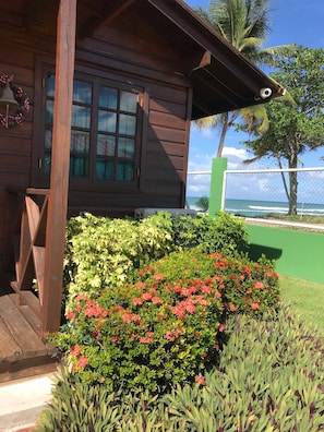 Enjoy the ocean view from the cabin's porch, surrounded by a lush garden and palm trees.