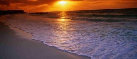 On the beach, sun-loungers