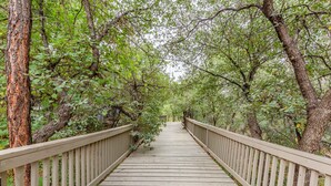 Un pont en bois, doté de garde-corps, est entouré d’un feuillage verdoyant et luxuriant.