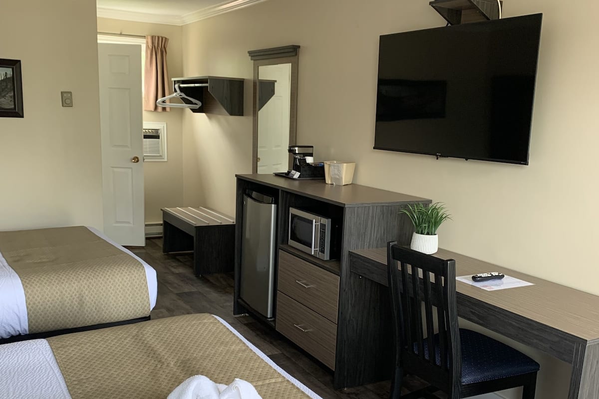 Une chambre d’hôtel avec deux lits, un bureau avec une chaise, une télévision et une petite plante en pot.