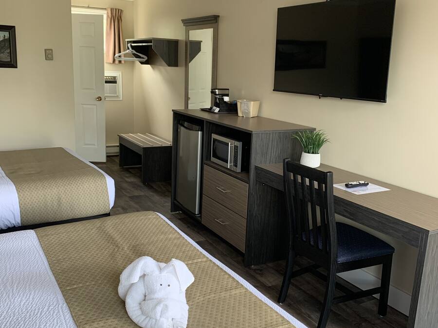 A hotel room with two beds, a desk with a chair, a television, and a small potted plant.