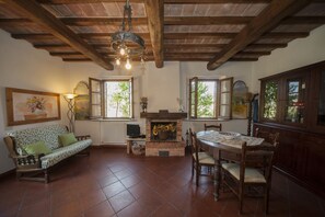 Fernseher, Kamin