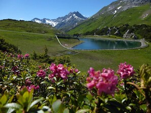 Unclassified image, 3 of 32, button - Top 2 - House Annette (Schröcken)