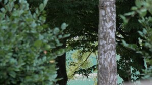 Uklassifisert bilde, 2 av 25, knapp