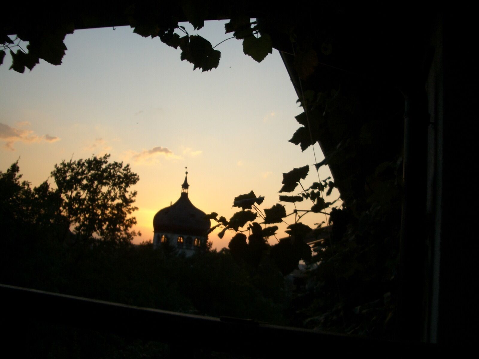 A silhouette of a building with a dome against a sunset sky, viewed through a window with foliage.