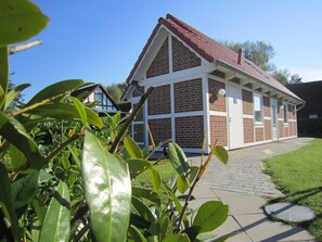 Esterni