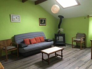 TV, fireplace, DVD player, books