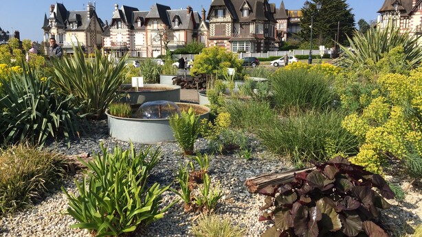 A garden with a water feature, surrounded by various plants and a historic building in the background.