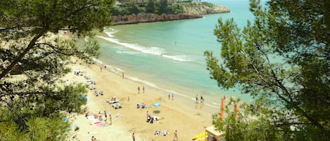Playa en los alrededores