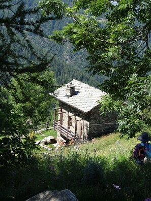 Exterior - Lovely little cottage in the alpine pastures (Lillianes, Vallée d'Aoste)