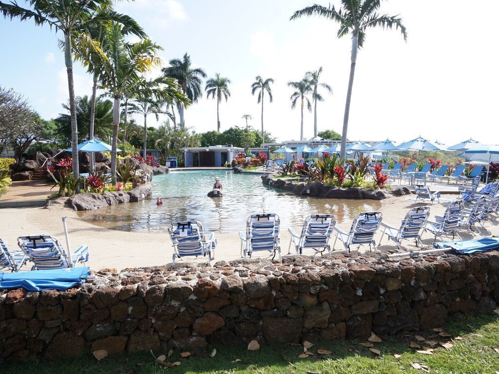 Un espace piscine aménagé avec des chaises longues, des palmiers et un mur en pierre.