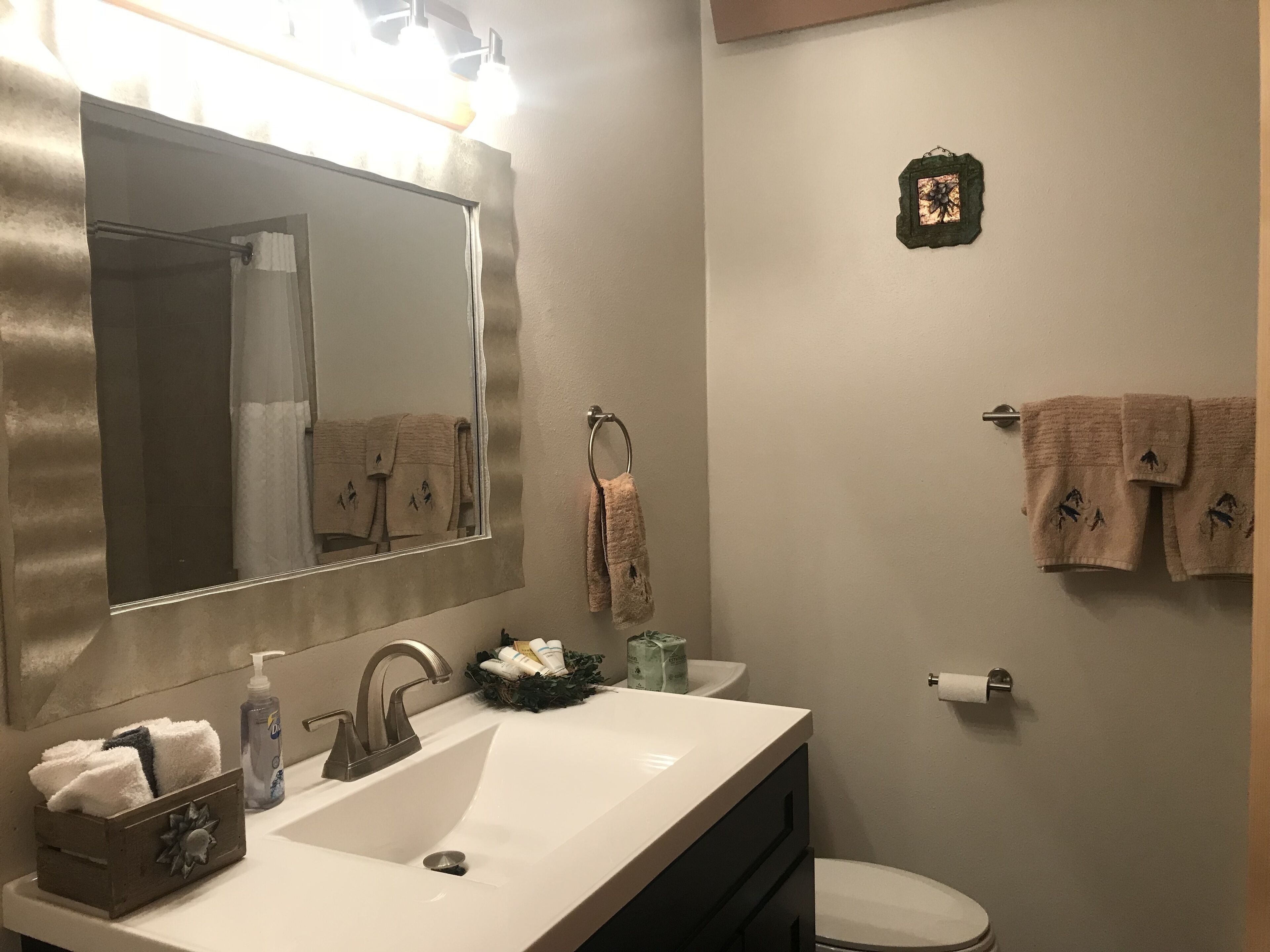 Combined shower/tub, hair dryer, towels, soap