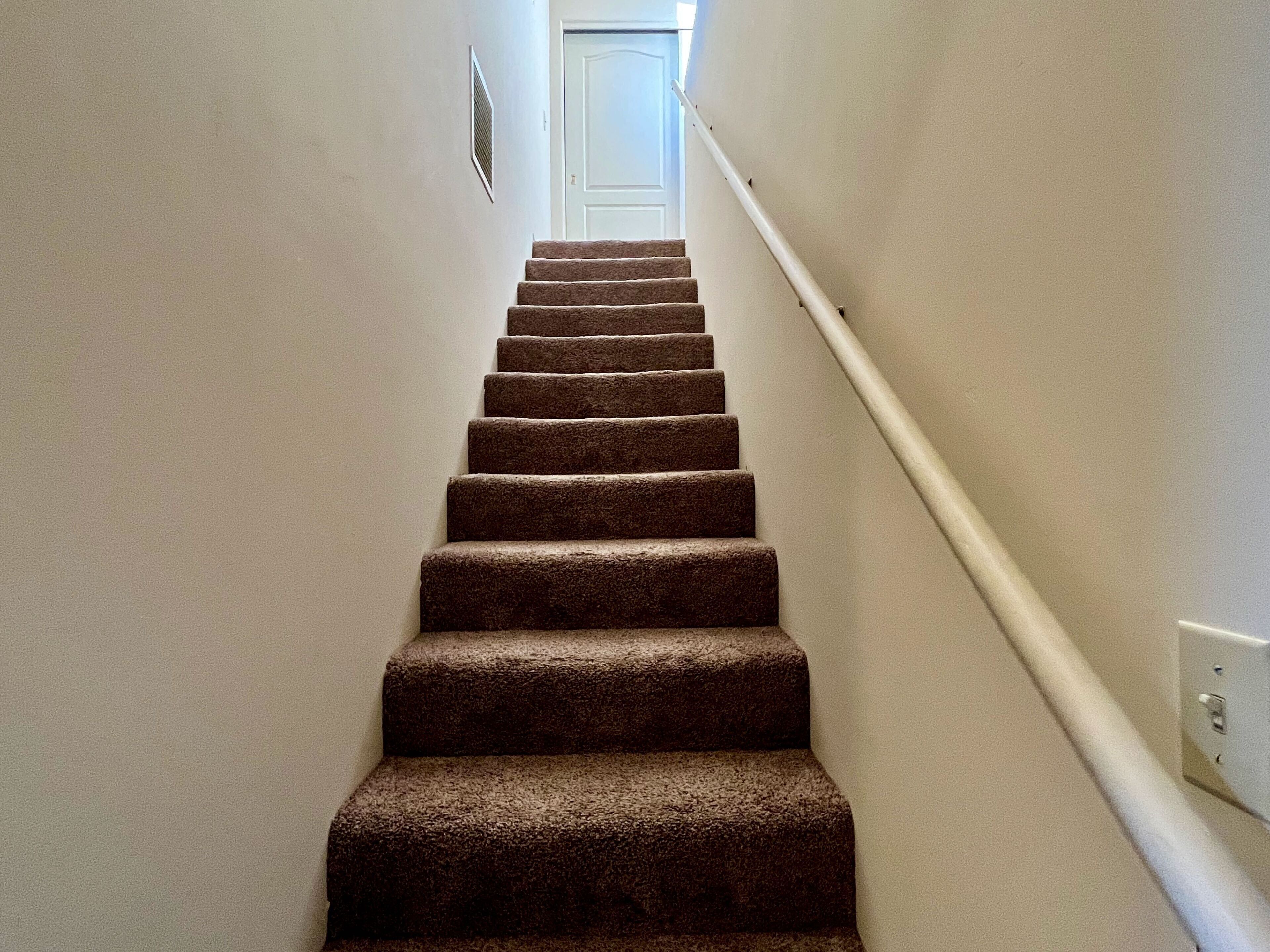 A carpeted staircase with a handrail leading to a door at the top.