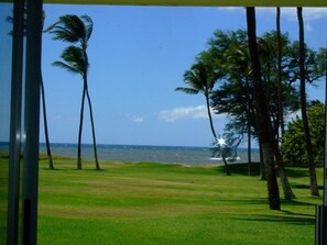 A view of a grassy area with palm trees and a body of water in the background. - Leinaala Oceanfront 405 Panoramic Ocean View, Great Rates, Steps to the beach (Kihei)