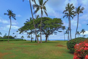 A tropical landscape with palm trees, a large central tree, and a view of the ocean. - Leinaala Oceanfront 405 Panoramic Ocean View, Great Rates, Steps to the beach (Kihei)