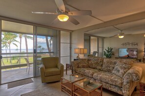 تلفزيون، مشغل دي في دي