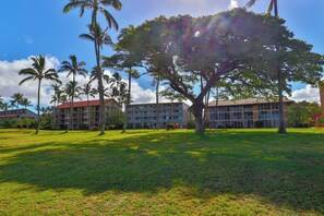 A hotel with multiple buildings, a large grassy lawn, and palm trees. - Leinaala Oceanfront 405 Panoramic Ocean View, Great Rates, Steps to the beach (Kihei)