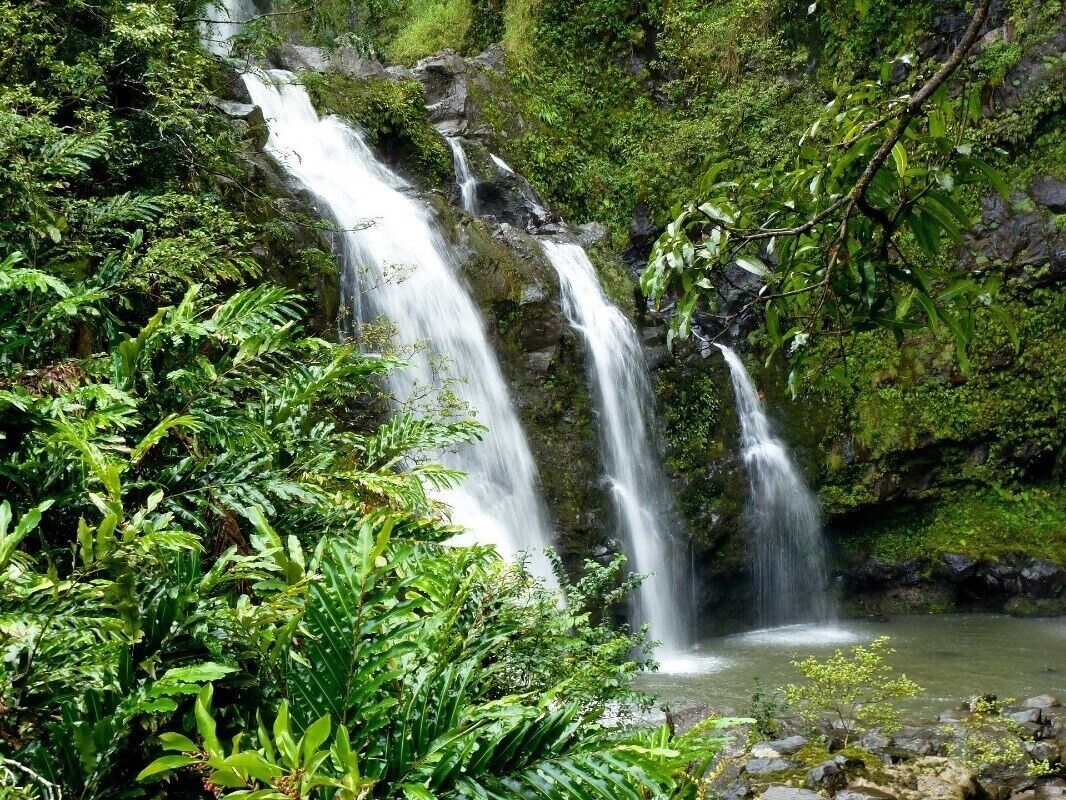 Une cascade entourée d’une végétation luxuriante.